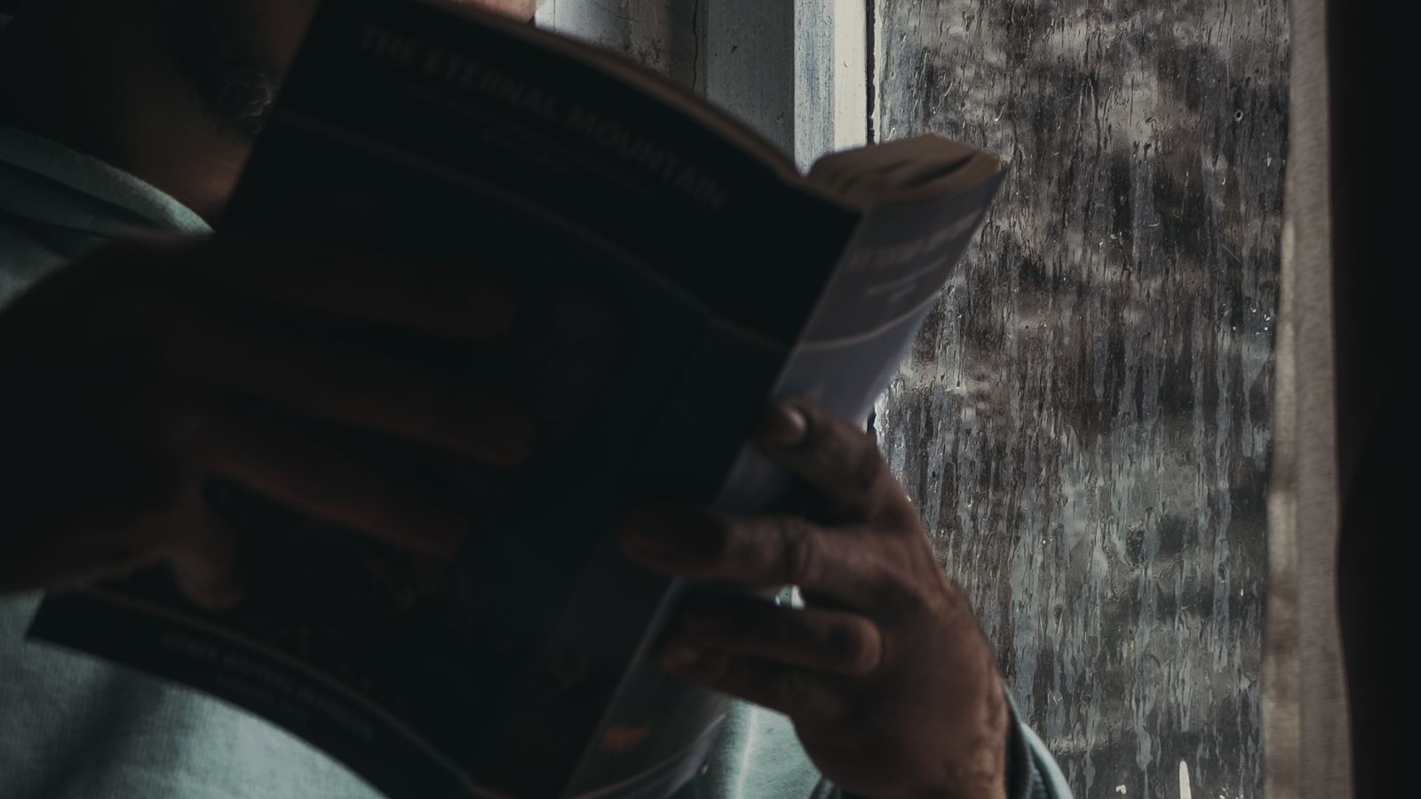 Man reading a book by a window, immersed in thought, in a peaceful indoor setting